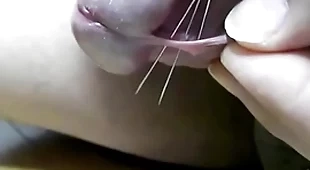 チンポに針を刺す