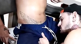 Chupei o meu amigo linear enquanto ele bebe