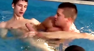 Southernstrokes joey intenso coupled with thomas fiaty 3way breed