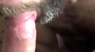 Old man deepthroat a bear