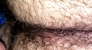 Hairy straight s.
