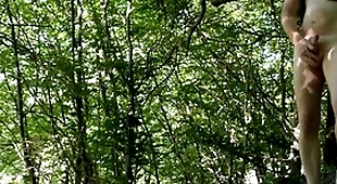 Naked forest upbraiding by road