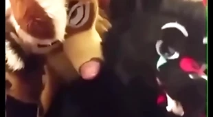 Fursuiters fuck in bathroom while bottom moans loudly