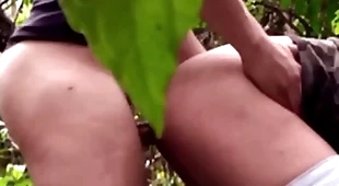 Brazilian males fucking greater than the são paulo crest