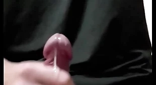 Taiwan pal cum