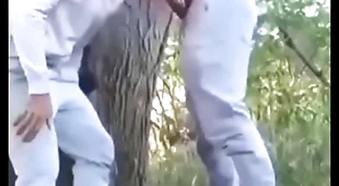 Safados fudendo no mato